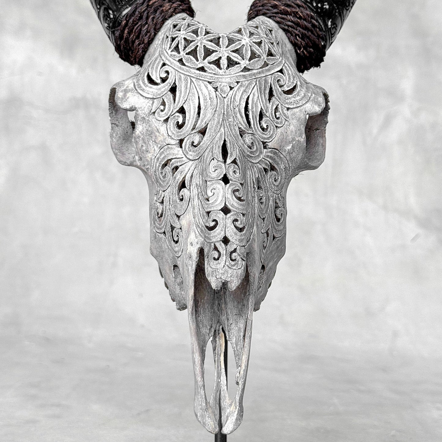 Very Detailed Engraved Goat Skull