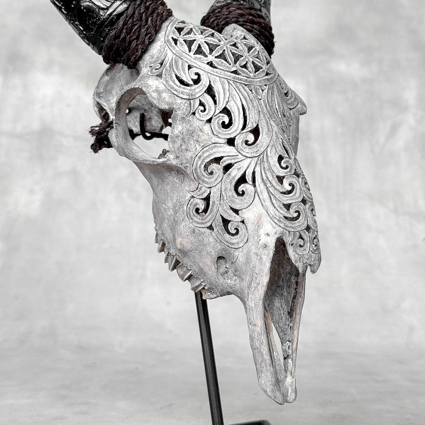 Very Detailed Engraved Goat Skull