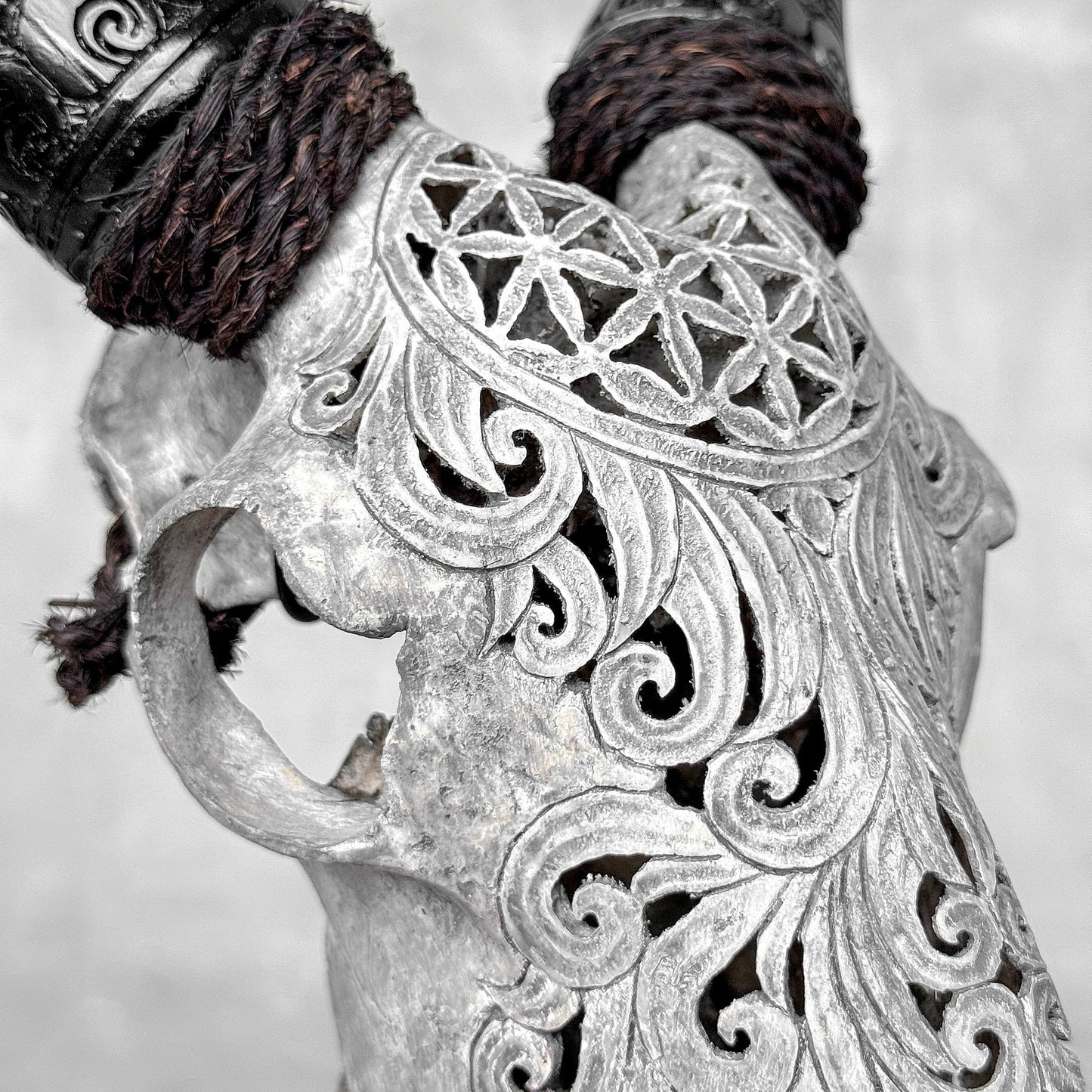 Very Detailed Engraved Goat Skull