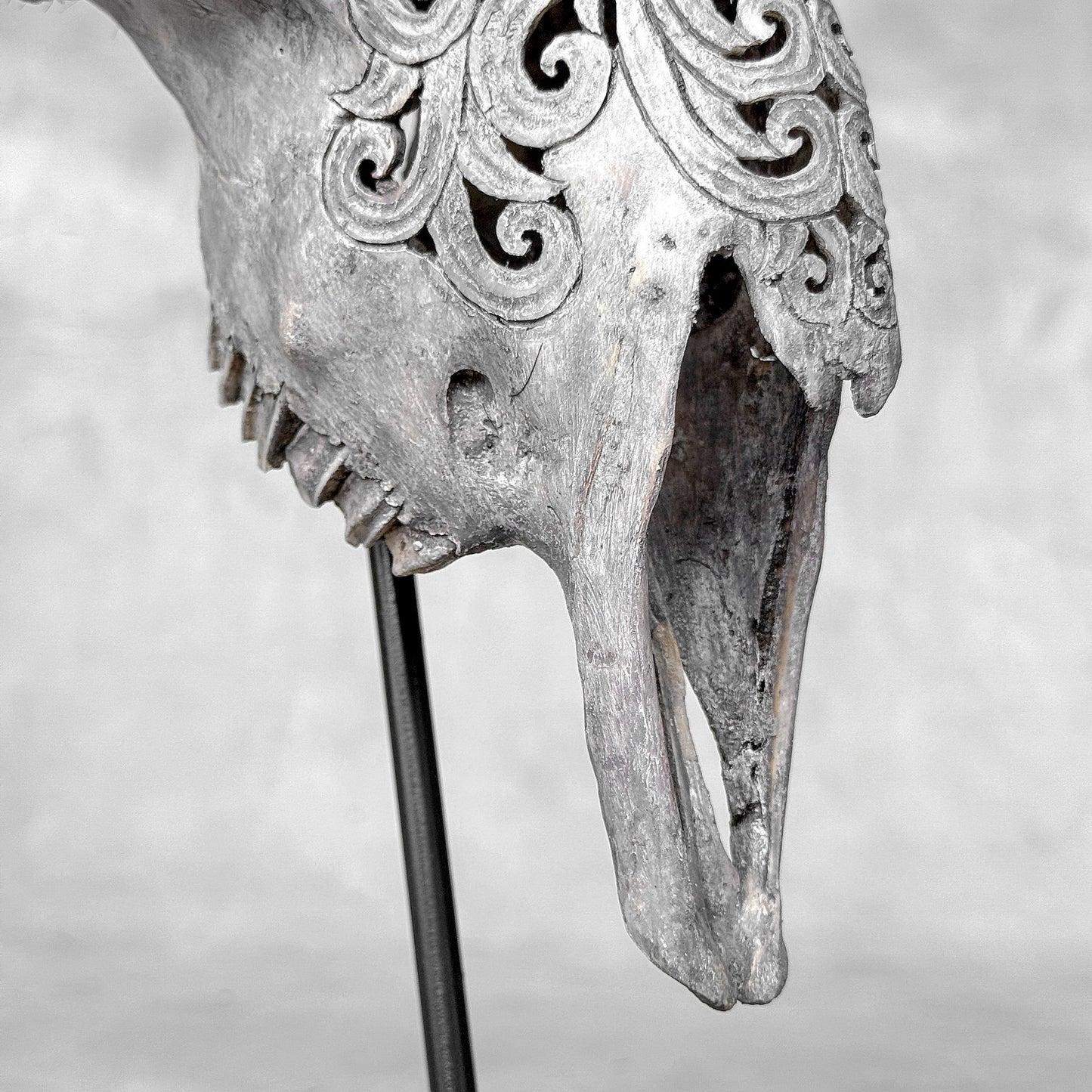 Very Detailed Engraved Goat Skull