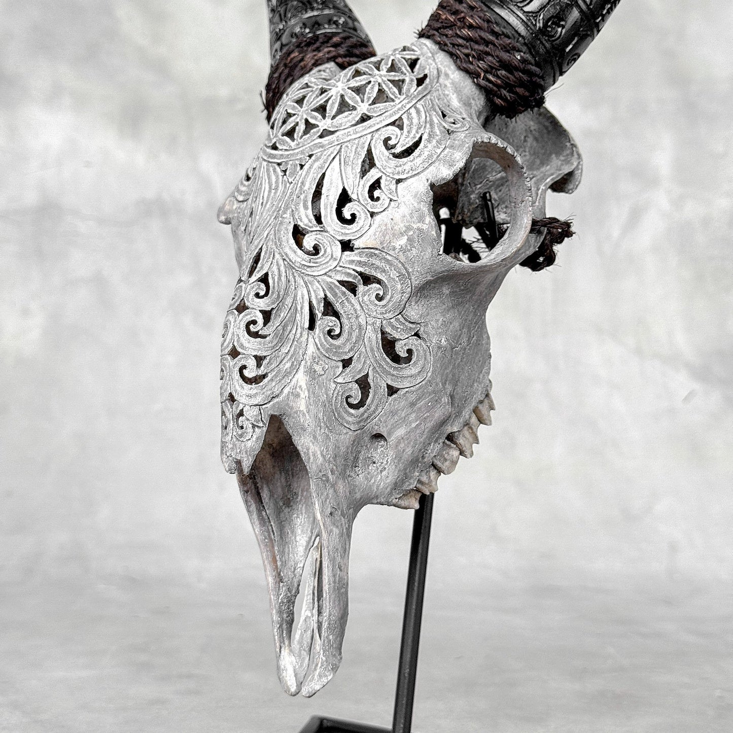 Very Detailed Engraved Goat Skull