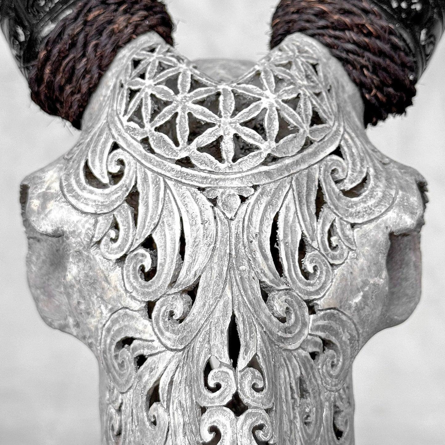 Very Detailed Engraved Goat Skull