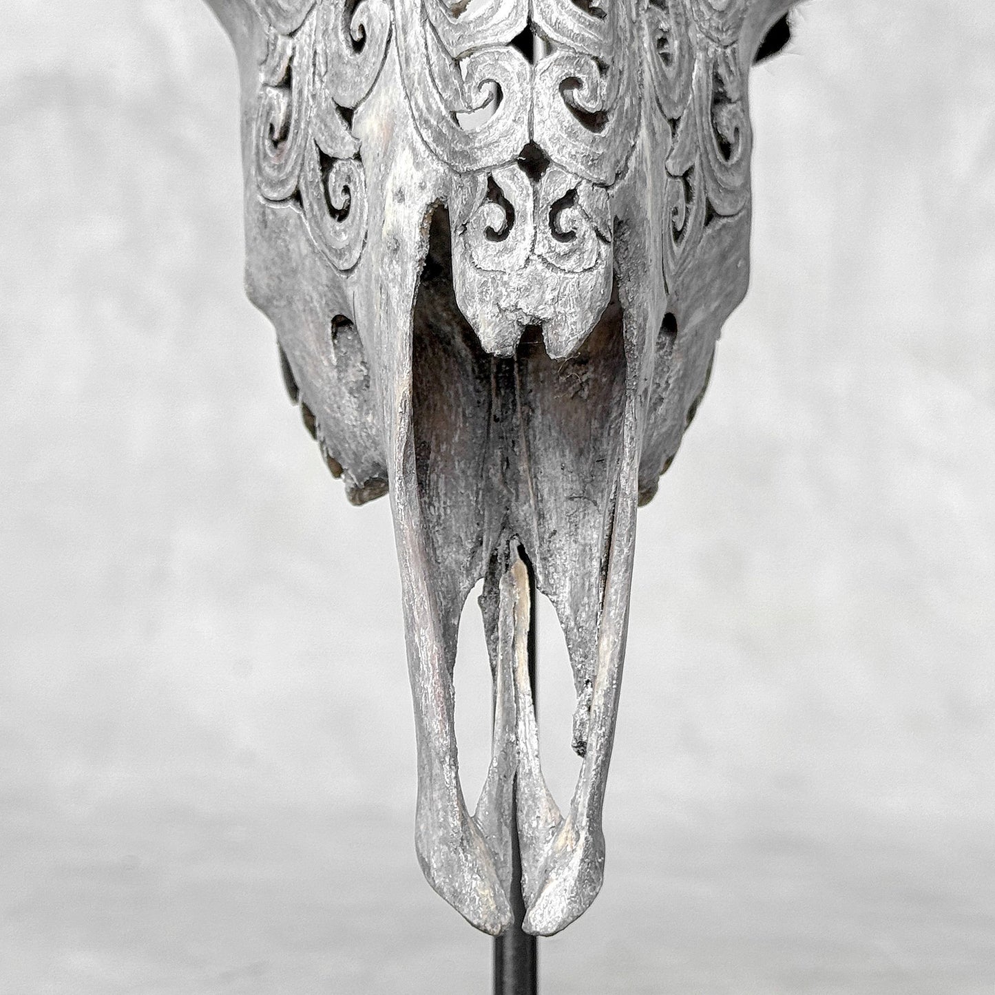 Very Detailed Engraved Goat Skull