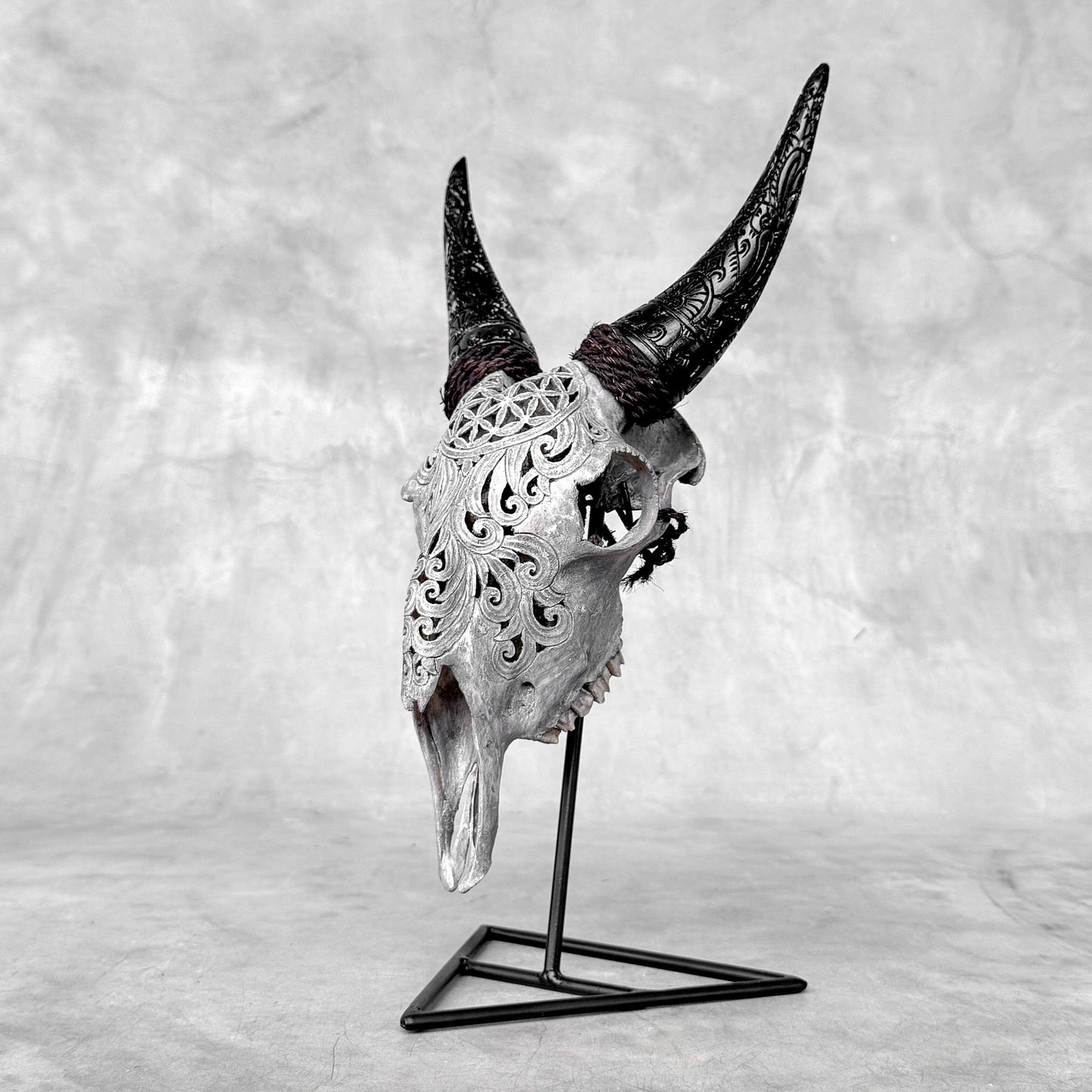 Very Detailed Engraved Goat Skull