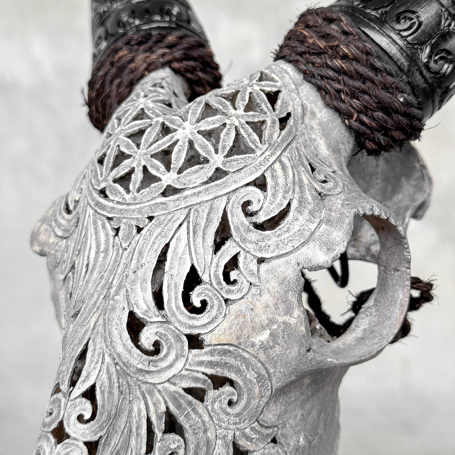 Very Detailed Engraved Goat Skull