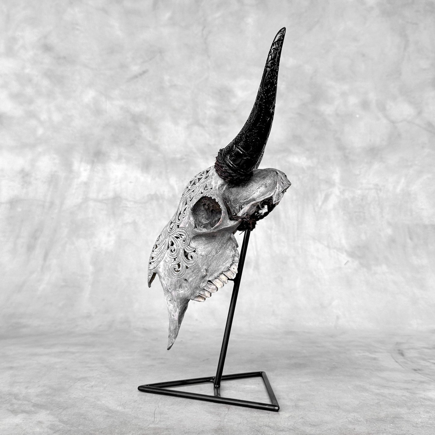 Very Detailed Engraved Goat Skull