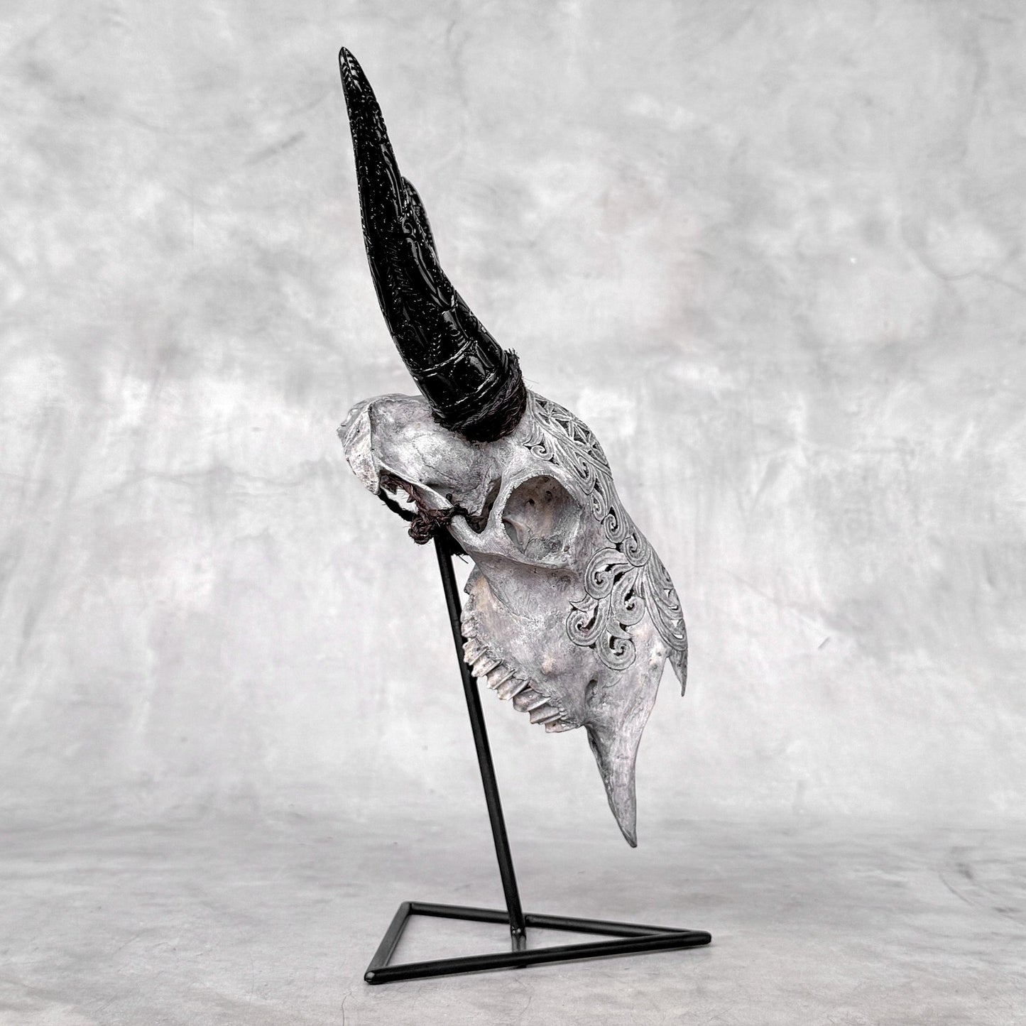 Very Detailed Engraved Goat Skull