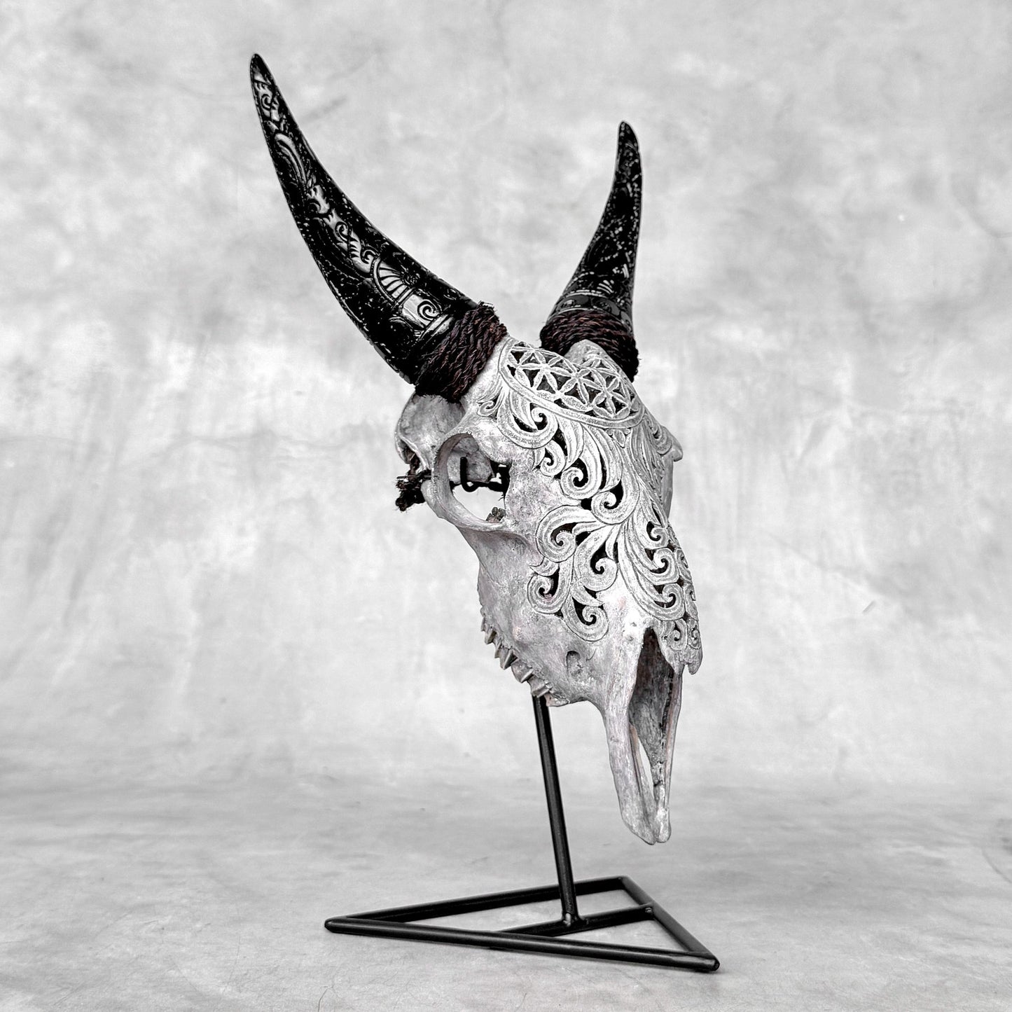 Very Detailed Engraved Goat Skull